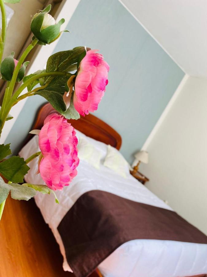 Helena De Santa Maria Hotel Arequipa Luaran gambar