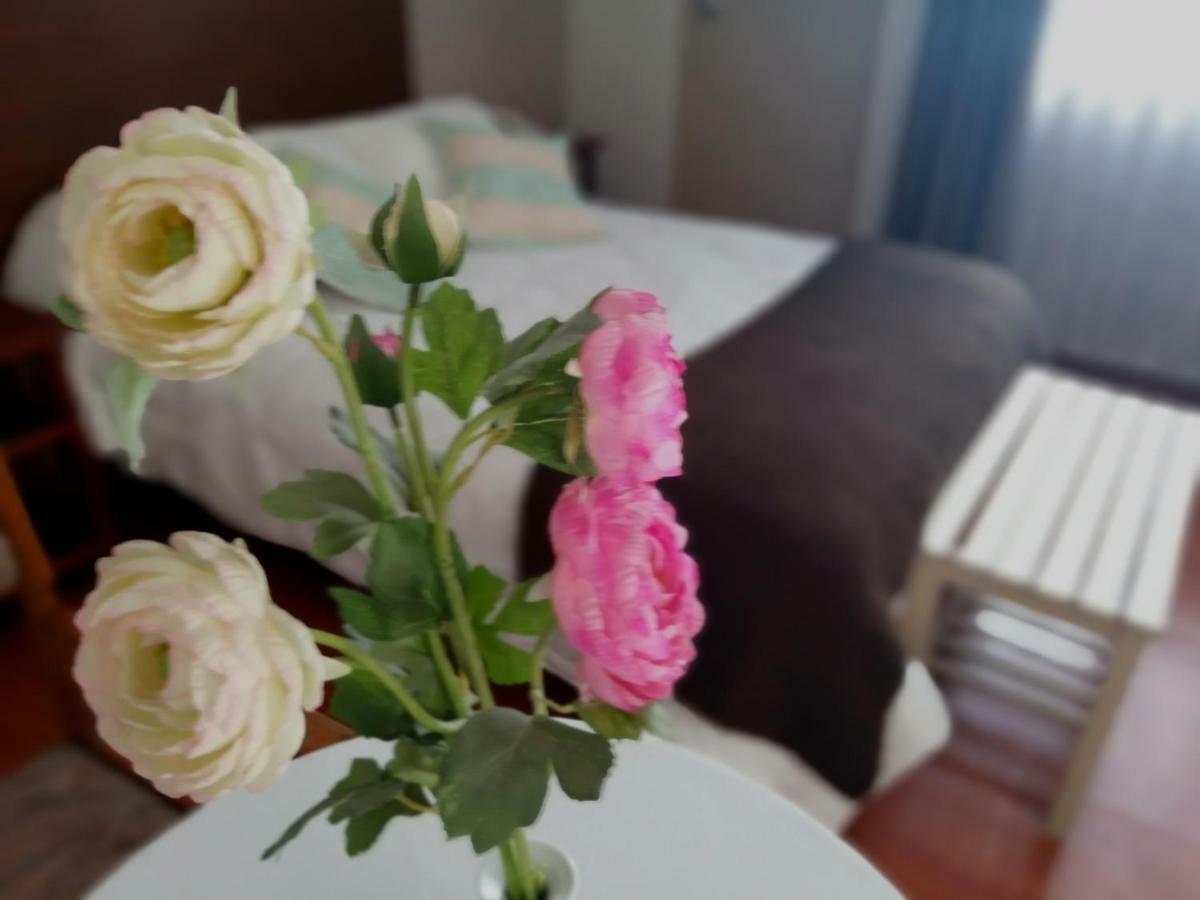 Helena De Santa Maria Hotel Arequipa Luaran gambar